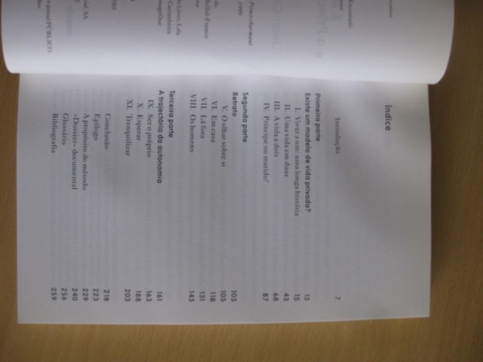 A Mulher Só e o Príncipe Encantado de Jean-Claude Kaufmann