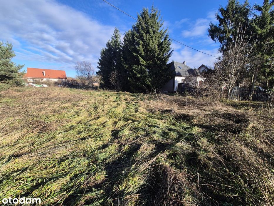 Działka Dębnica, gm. Prusice