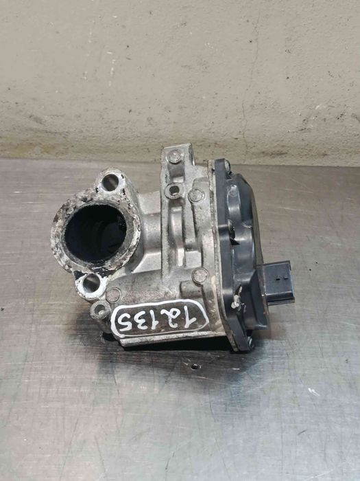 Válvula EGR RENAULT Grand Scénic III (JZ0/1_)