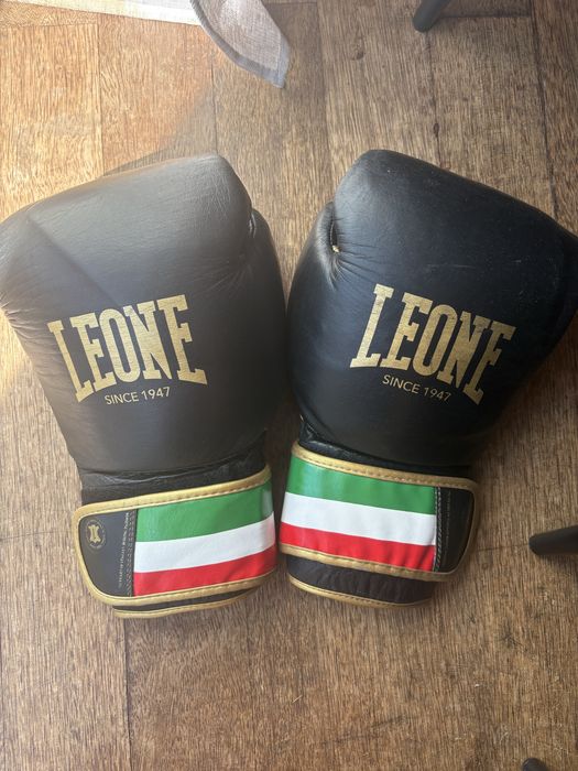 Rękawice bokserskie 14oz Leone Italy 47