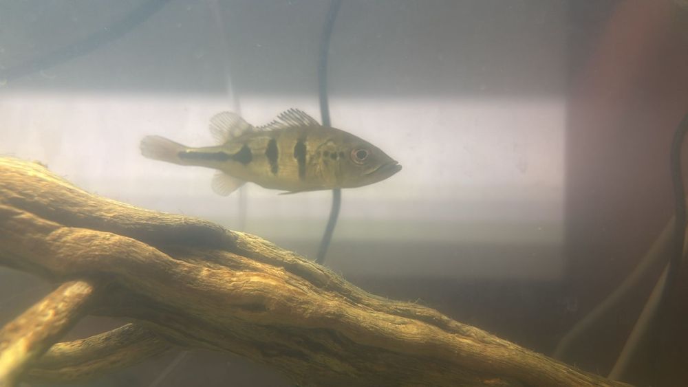 Vendo material de aquário