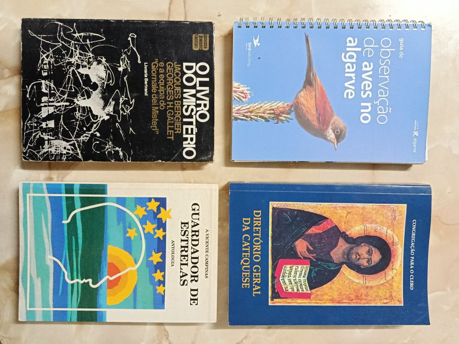 Lote de LIVROS bons e baratos ( 4 )