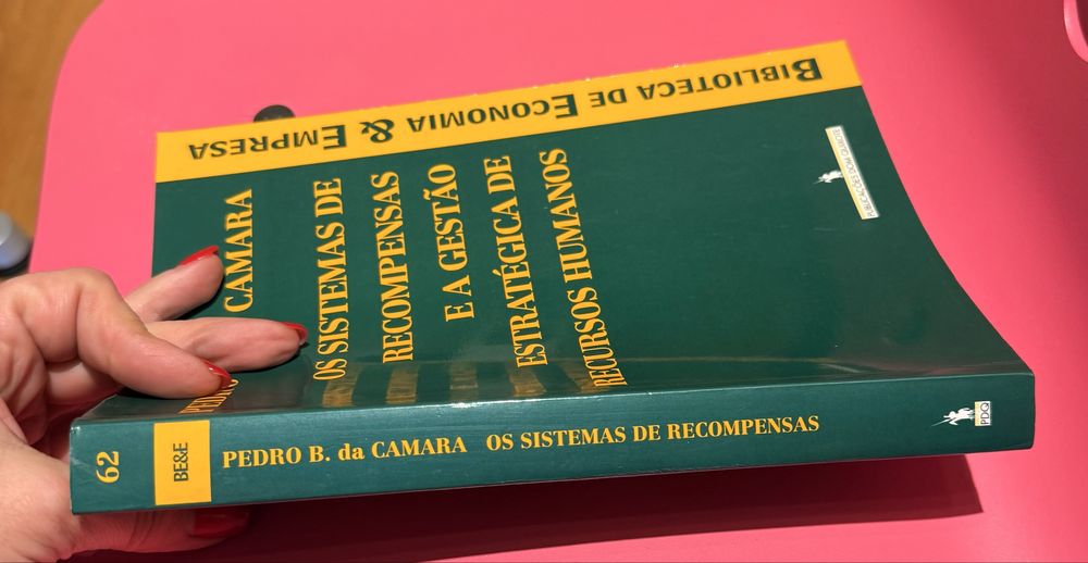 Os Sistemas de recompensas e a gestao estrategica de Recursos Humanos