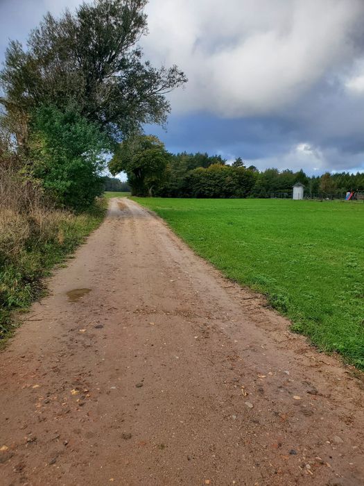 Atrakcyjna działka, Jeldzino ,blisko morza ,przy samym lesie 1112m - Widok 6
