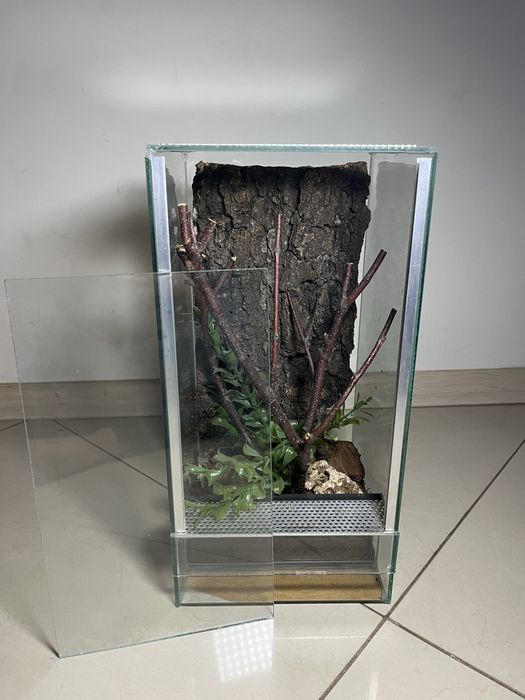 Terrarium z wyposażeniem