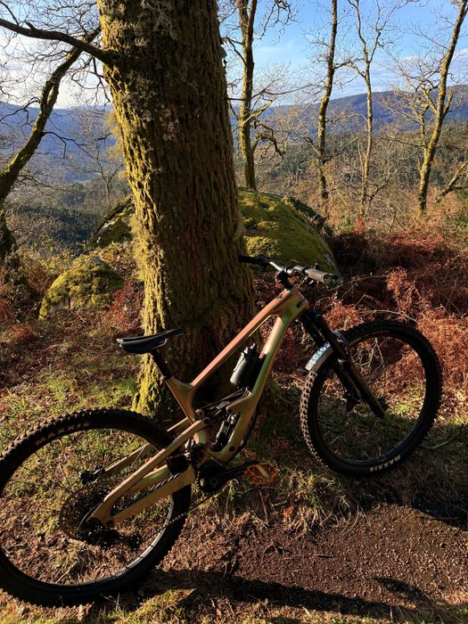 Cannondale jekyll 1 enduro