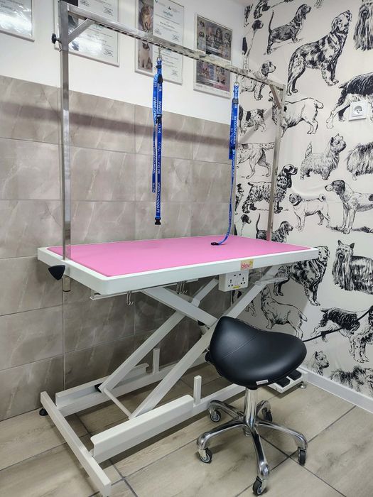 Groomer/fryzjer dla zwierząt