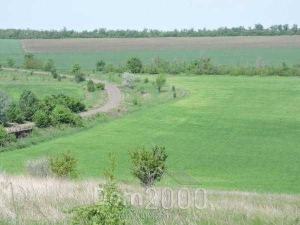 Продаж садиби: 1078 кв.м. будівель, понад 60 га с/г землі