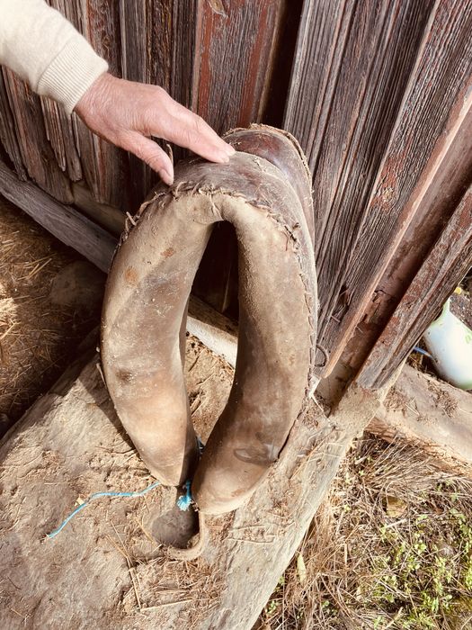 Arreio de cavalo antigo