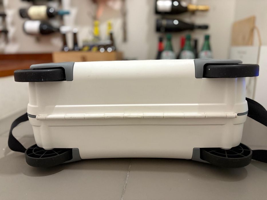 Mala de viagem samsonite crianca zebra