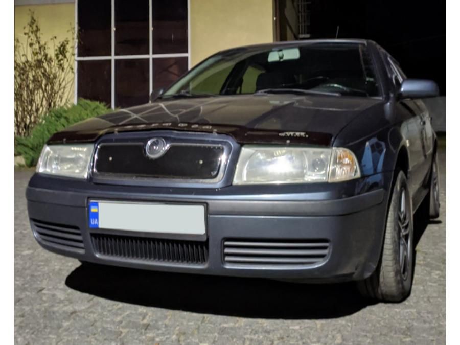 Skoda Octavia Tour Зимова решітка радіатора матова (верхня)Шкода