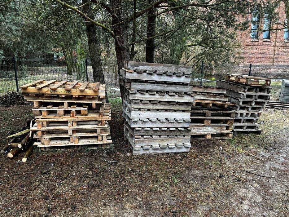 Sprzedam palety 50 sztuk