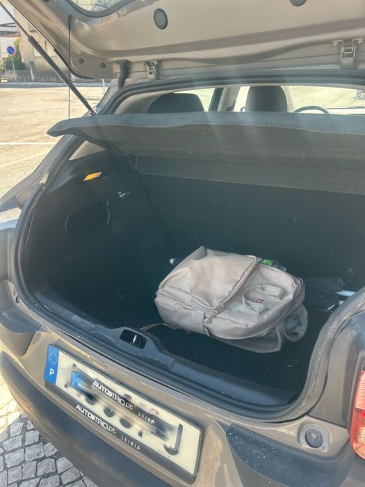 Citrien C4 Cactus
