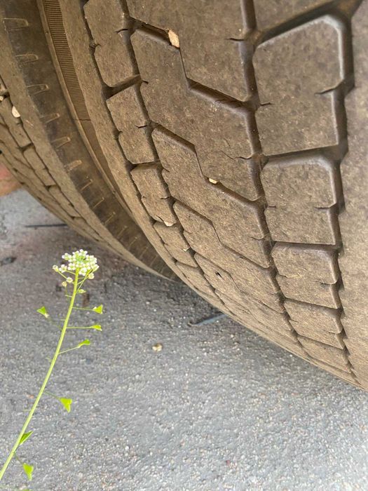 тягач з автоцистерною МАН