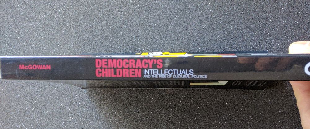 Democracy's Children: Intellectuals and the Rise of Cultural Politics