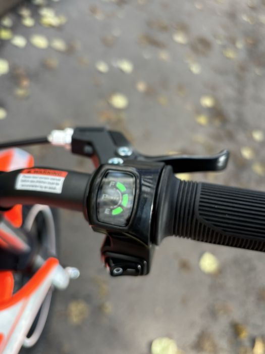 Електропітбайк APOLLO RFN Warrior KIDS SX-E350