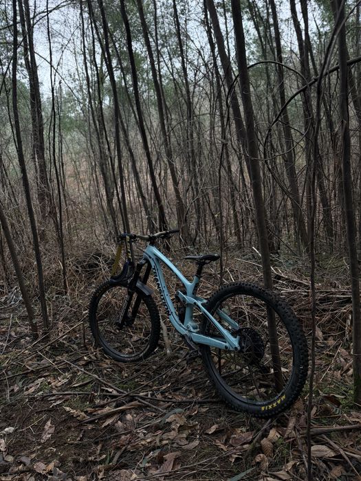 Transition patrol carbon