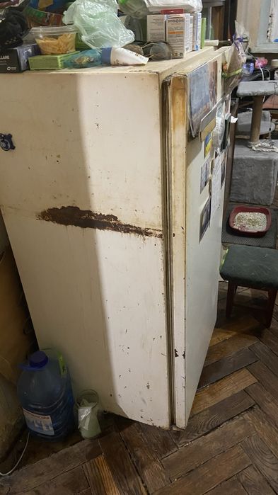 Холодильник бирюса10