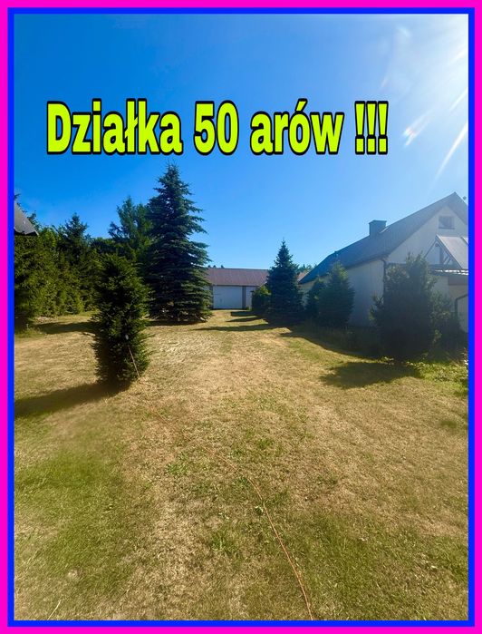 Zdjęcie 2