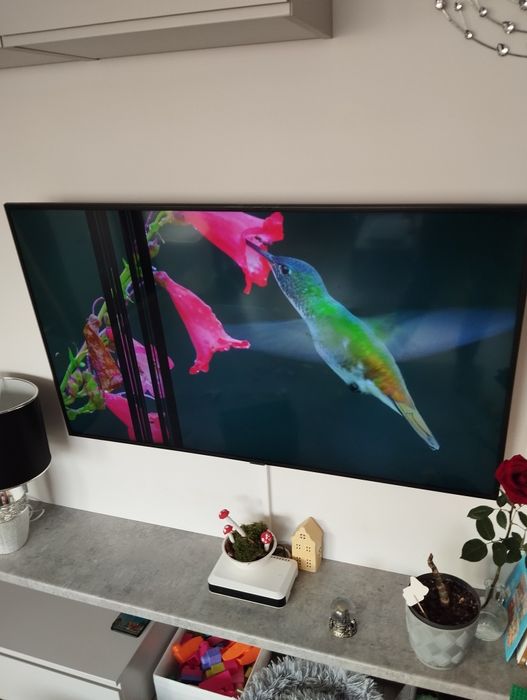 Telewizor Samsung Led 55 cali 2019 r. uszkodzona matryca