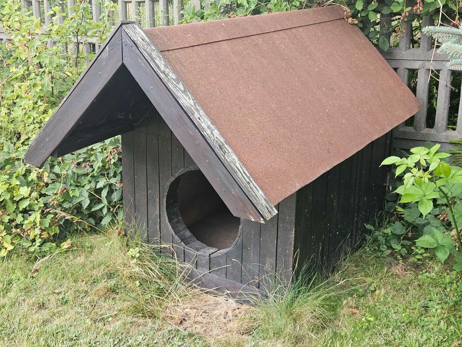 Buda dla dużego psa