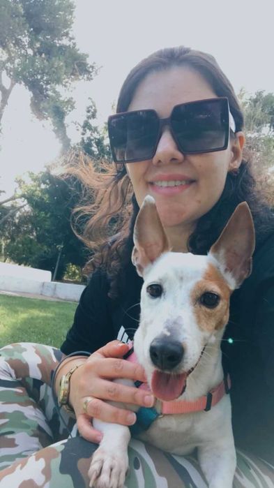 Pet setting, dog walking, day care, Hospedagem cães e passeios