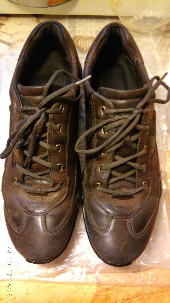 Ecco terrano cheap