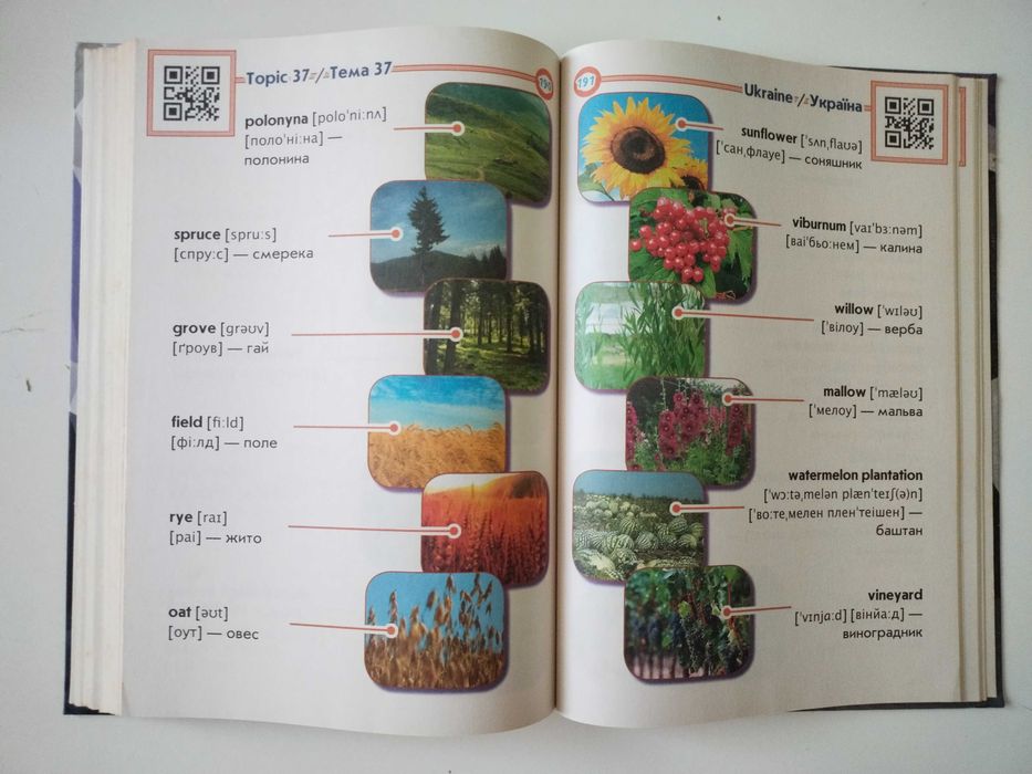 Підручник з англійської мови 1-4 клас словник