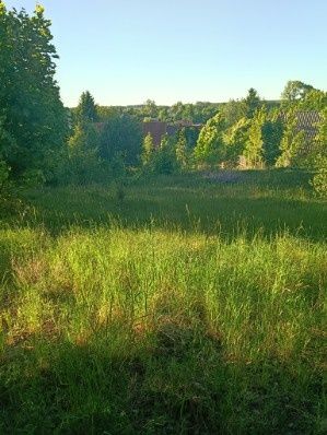 Działka budowlana 1200 m² - Widok 2