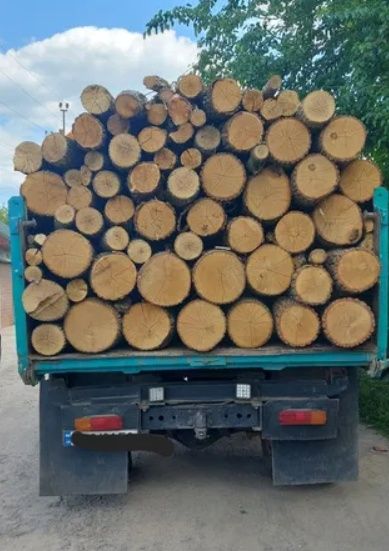 Дрова дубові рубані з ділянки, напряму, опт, роздріб. 3-5-6-10-27.5 м3