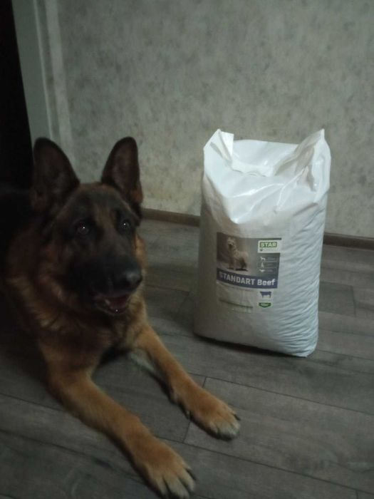 ПРЕМІАЛЬНІ корма для ваших ПЕСИКІВ від StarDeyl