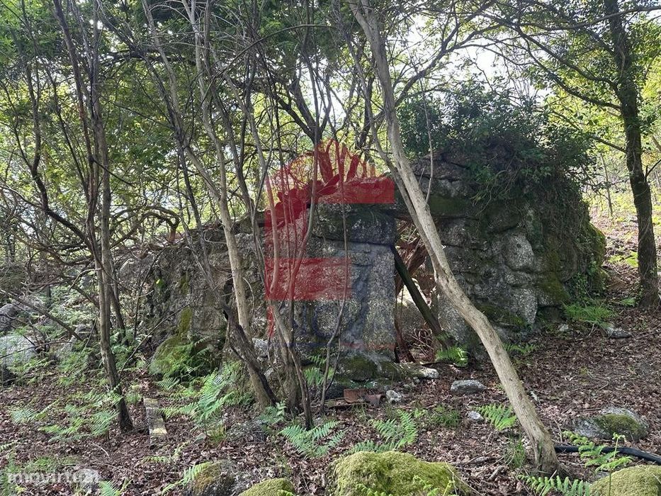 Terreno, Valdreu — Moimenta (Santo André), Braga