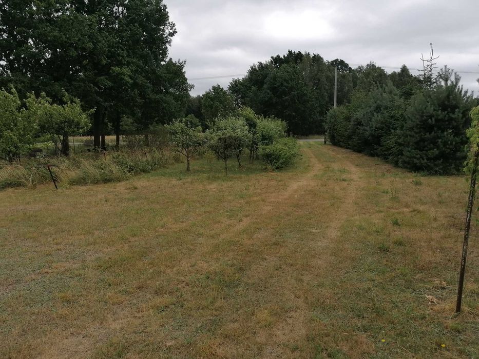 Działka z Warunkami Zabudowy | WZ | 11 664 m² | Aleksandrów | Jakubów | A2 | 290 000 zł