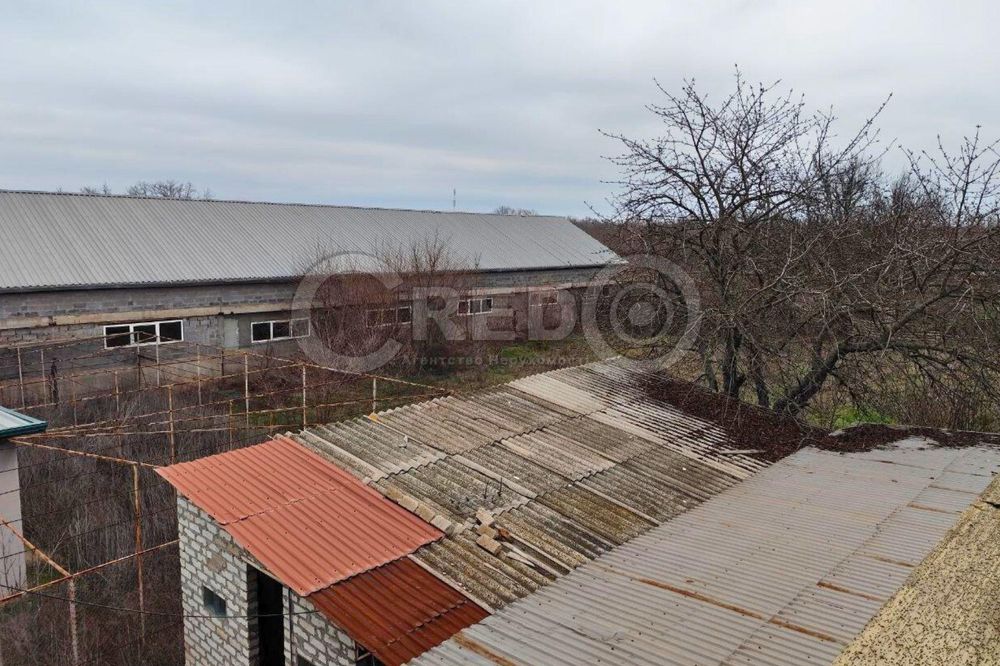 с.Надія (Радгоспне) Великий будинок + фермерське господарство