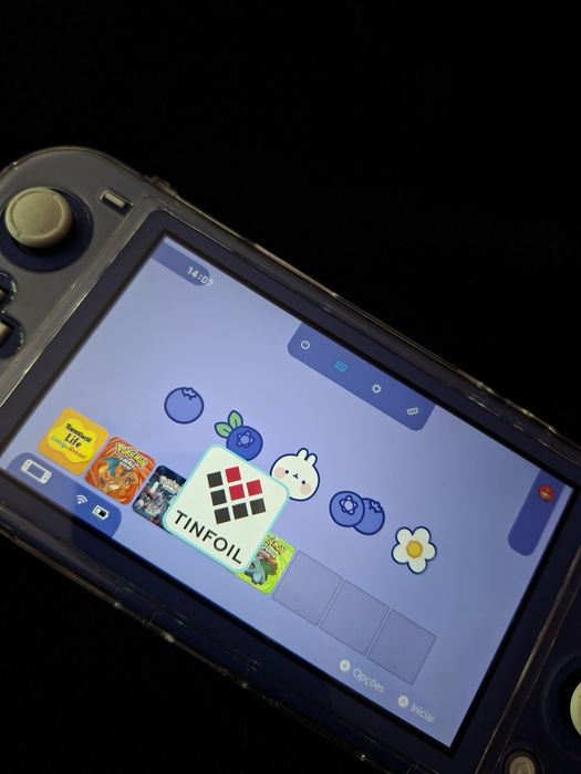 Nintendo switch lite