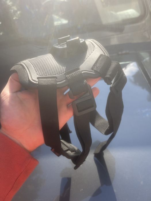 Suporte GoPro para cão