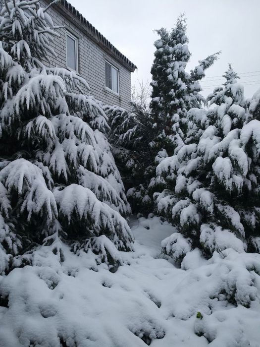 Продам будинок,дніпропетровська обл,новомосковський район,м.Перещепине