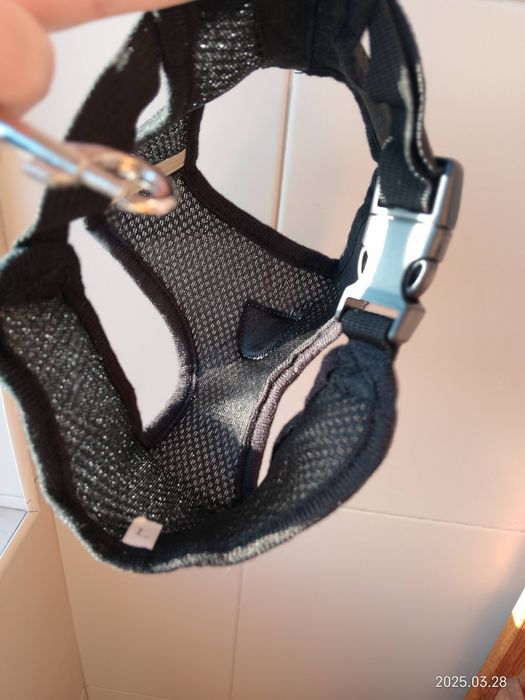 Peitoral ou arnês com trela para cão