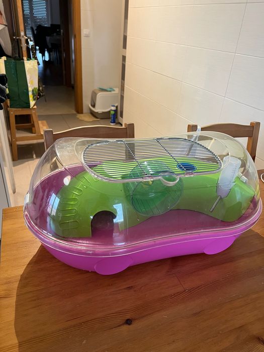 Gaiola para hamster com substrato, comida e acessórios