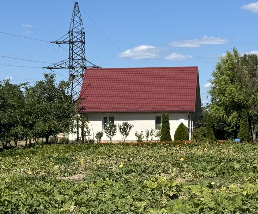 Будинок з ділянкою