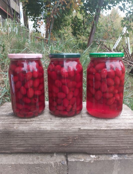 Domowy kompot z derenia jadalnego
