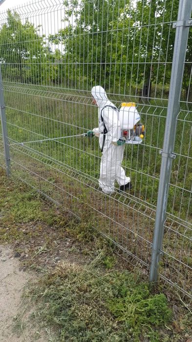 Wycinka Drzew, koszenie traw, wywóz odpadów zielonych, trawy, drewno