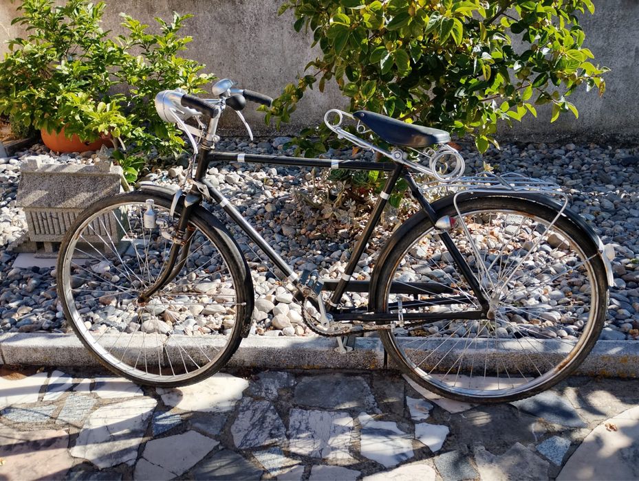 Bicicleta de alavancas
