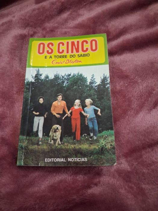 Livro os cinco e a torre do sábio