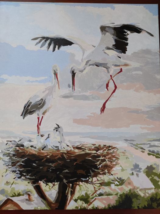 Готові картини за номерами з Одеси в асортименті, розмір 40*50