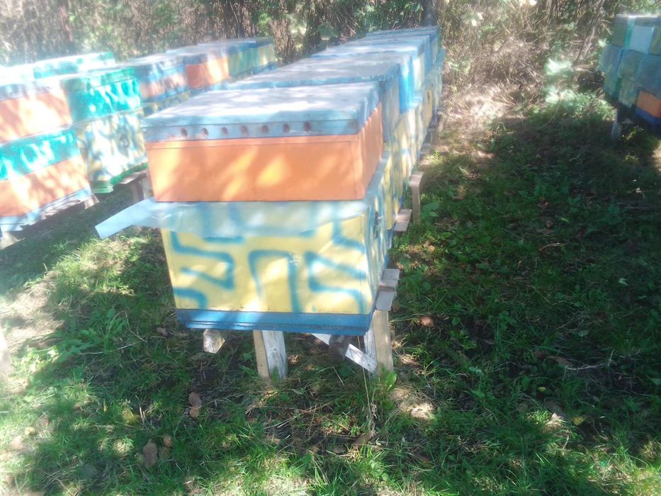 Продам улья  из ДВП и пенопласта.