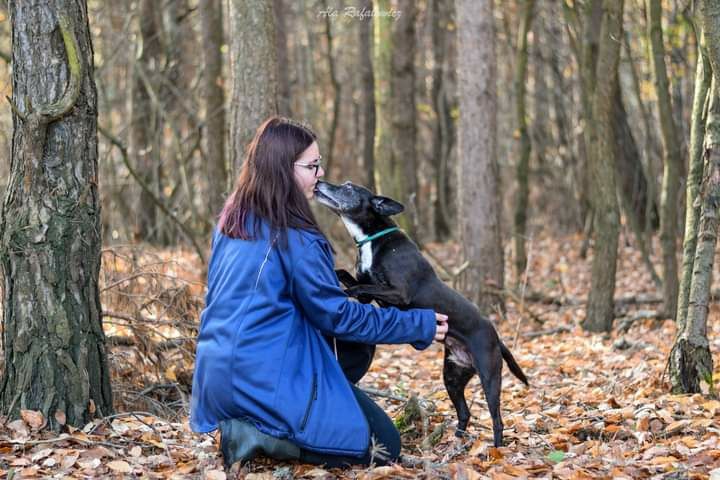 Zorka starsza sunia w której drzemie szczeniak! Pokochaj! Adoptuj!
