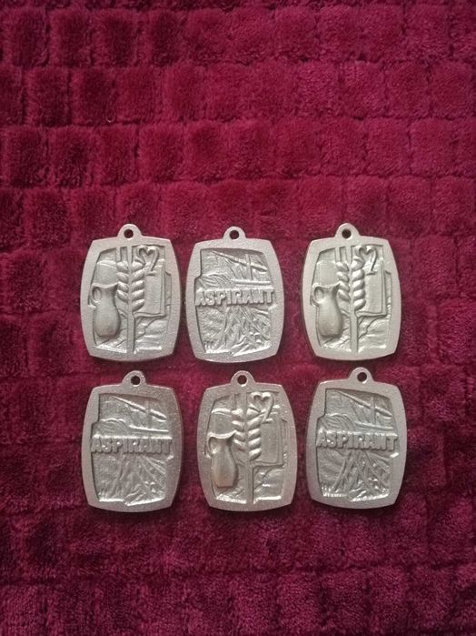 Odznaka ministranta, liturgiczna służba ołtarza.