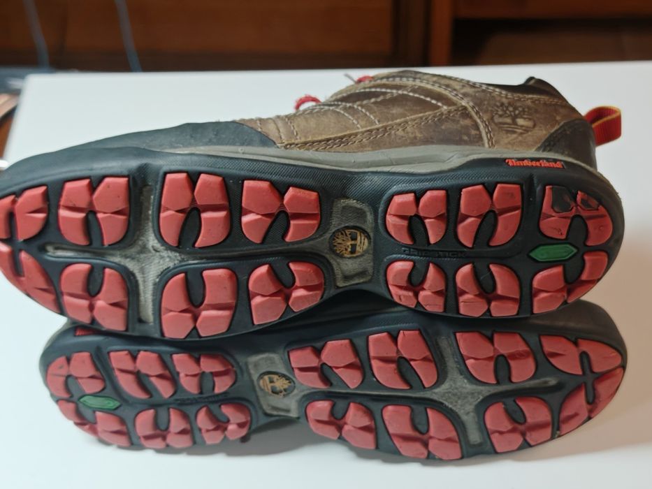 Sapatos de caminhada Timberland  LOW RADLER SUMMIT APPROA