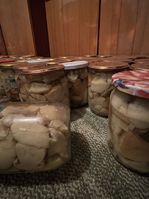Білі, мариновані гриби. 3 банки.